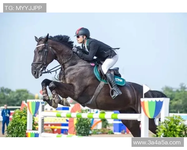 国际马术联合会加强动物福利意识更新马匹参赛健康标准以保障马匹安全